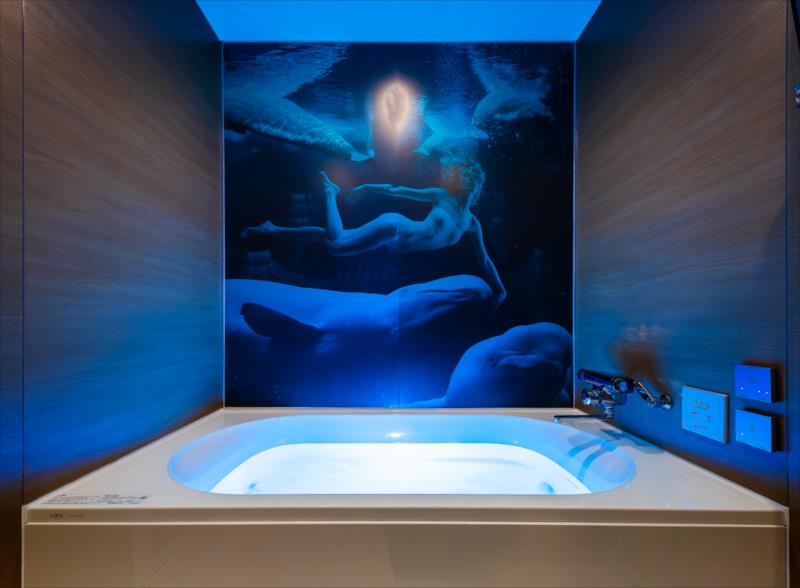 images/208c.jpg